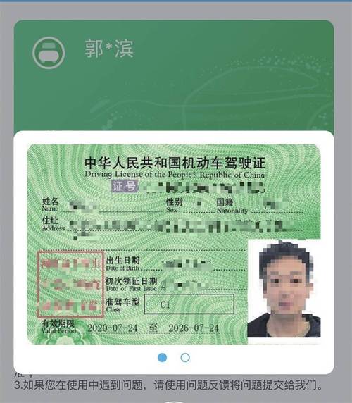 驾驶证查询平台 驾驶证查信息查询
