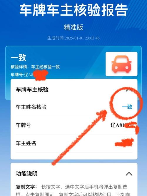 天津车牌怎么查违章 天津牌照查询车主