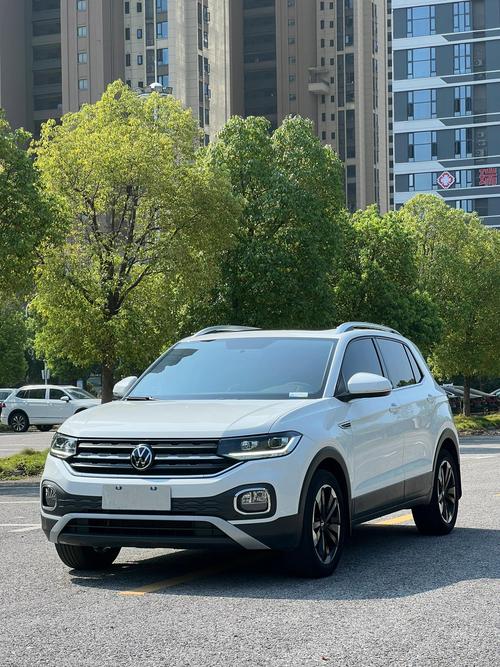 上海大众探影／上海大众探影多少钱