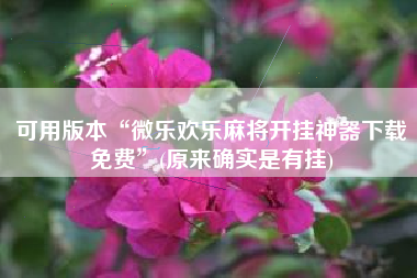 可用版本“微乐欢乐麻将开挂神器下载免费”(原来确实是有挂)