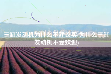 三缸发动机为什么不建议买(为什么三缸发动机不受欢迎) 三缸发动机为什么不建议买(为什么三缸发动机不受欢迎)
