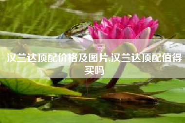 汉兰达顶配价格及图片,汉兰达顶配值得买吗