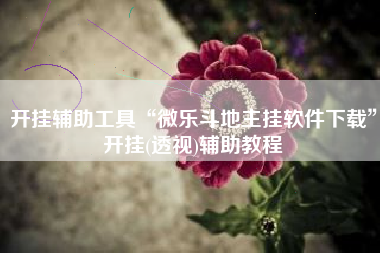 开挂辅助工具“微乐斗地主挂软件下载”开挂(透视)辅助教程