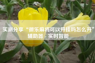 实测分享“微乐麻将可以开挂吗怎么开	”辅助器 - 实时智能