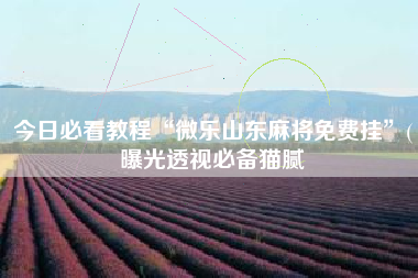 今日必看教程“微乐山东麻将免费挂”(曝光透视必备猫腻