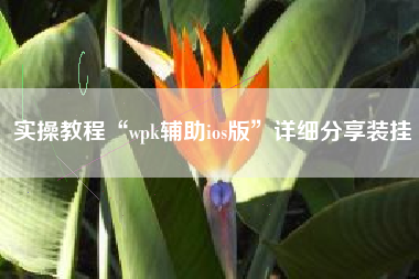 实操教程“wpk辅助ios版	”详细分享装挂