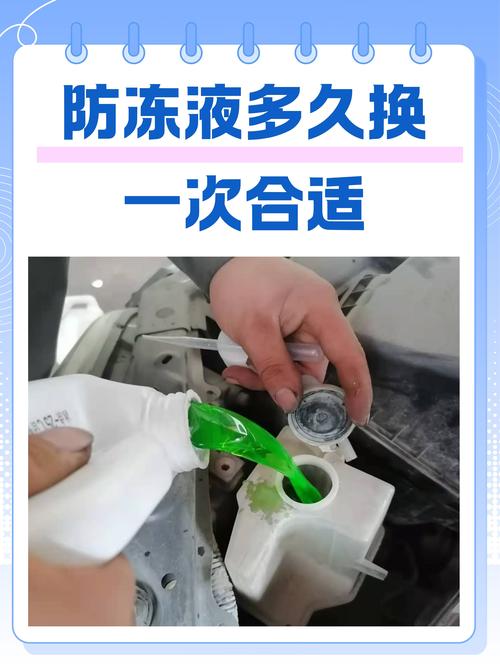 【佳宝t51,佳宝T51防冻液加多少】