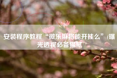 安装程序教程“微乐麻将能开挂么	”(曝光透视必备猫腻