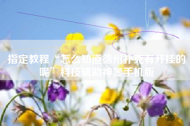 指定教程“怎么知道德州扑克有开挂的呢”科技辅助神器手机版