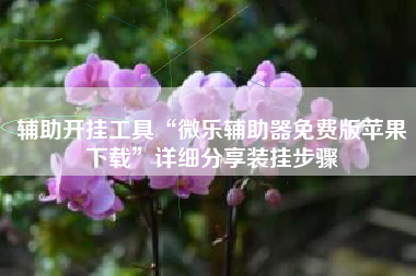 辅助开挂工具“微乐辅助器免费版苹果下载	”详细分享装挂步骤