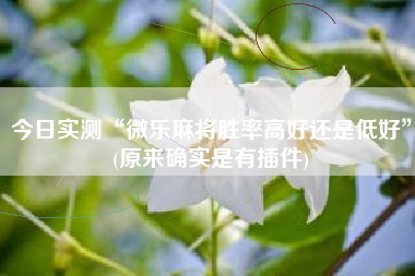 今日实测“微乐麻将胜率高好还是低好	”(原来确实是有插件)