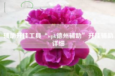 辅助开挂工具“wpk德州辅助	”开挂辅助详细