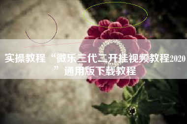 实操教程“微乐三代二开挂视频教程2020”通用版下载教程