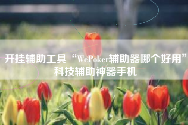 开挂辅助工具“WePoker辅助器哪个好用	”科技辅助神器手机