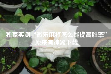 独家实测“微乐麻将怎么能提高胜率”原来有神器下载