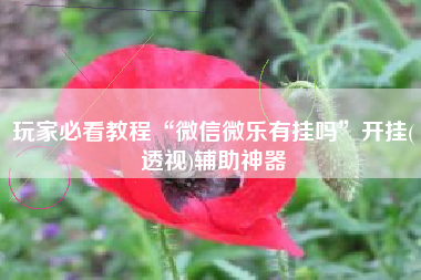 玩家必看教程“微信微乐有挂吗	”开挂(透视)辅助神器