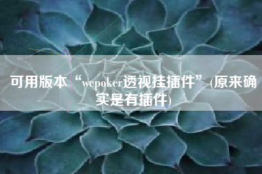 可用版本“wepoker透视挂插件”(原来确实是有插件)