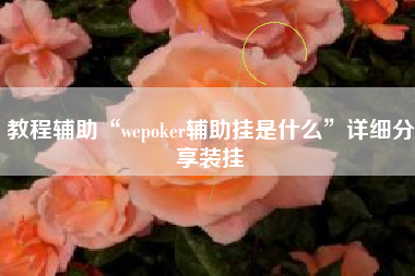 教程辅助“wepoker辅助挂是什么”详细分享装挂