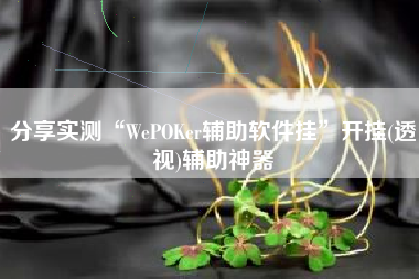分享实测“WePOKer辅助软件挂”开挂(透视)辅助神器