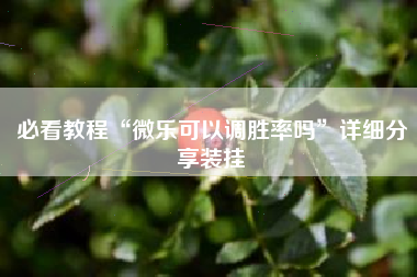 必看教程“微乐可以调胜率吗”详细分享装挂