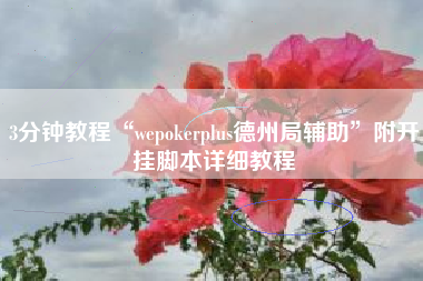 3分钟教程“wepokerplus德州局辅助”附开挂脚本详细教程