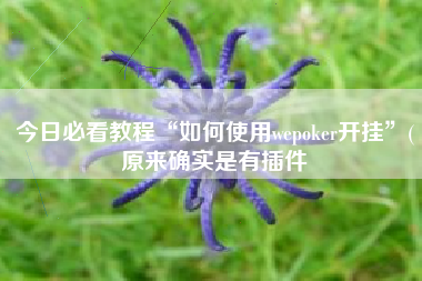 今日必看教程“如何使用wepoker开挂”(原来确实是有插件