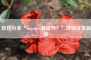 软件分享“wepoker有挂吗？”详细分享装挂