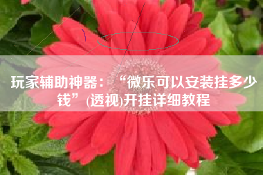 玩家辅助神器：“微乐可以安装挂多少钱”(透视)开挂详细教程