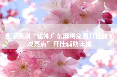 独家实测“雀神广东麻将免费开挂器游戏亮点”开挂辅助详细