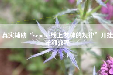 真实辅助“wepoker线上发牌的规律	”开挂详细教程