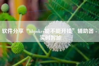 软件分享“hhpoker能不能开挂”辅助器 - 实时智能