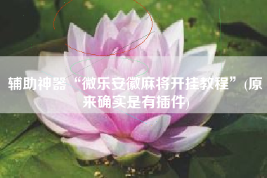 辅助神器“微乐安徽麻将开挂教程	”(原来确实是有插件)