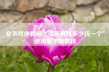 安装程序教程“微乐开挂多少钱一个”通用版下载教程