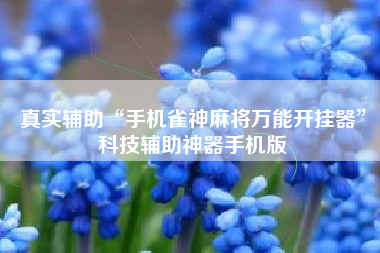 真实辅助“手机雀神麻将万能开挂器	”科技辅助神器手机版