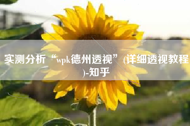 实测分析“wpk德州透视	”(详细透视教程)-知乎