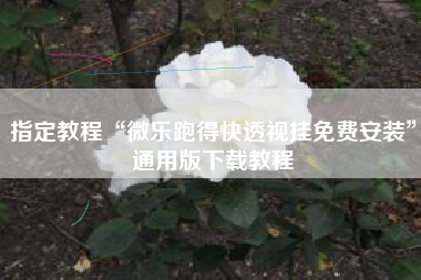 指定教程“微乐跑得快透视挂免费安装”通用版下载教程