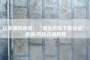 玩家辅助神器：“微乐开挂下载安装”(透视)开挂详细教程