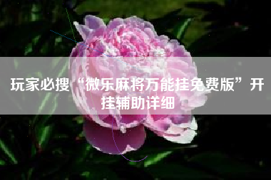 玩家必搜“微乐麻将万能挂免费版”开挂辅助详细