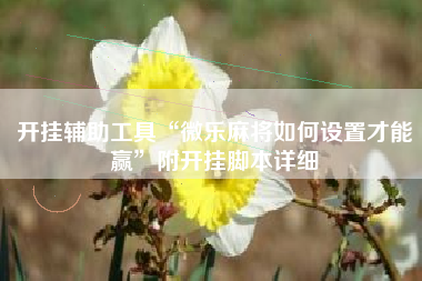 开挂辅助工具“微乐麻将如何设置才能赢”附开挂脚本详细