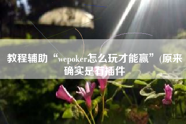 教程辅助“wepoker怎么玩才能赢”(原来确实是有插件