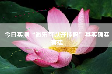 今日实测“微乐可以开挂吗	”其实确实有挂