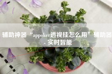 辅助神器“appoker透视挂怎么用”辅助器 - 实时智能