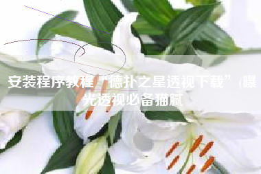 安装程序教程“德扑之星透视下载	”(曝光透视必备猫腻