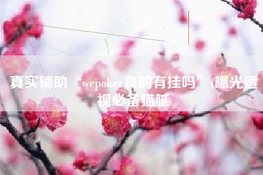 真实辅助“wepoker真的有挂吗	”(曝光透视必备猫腻