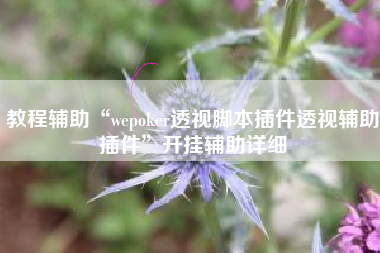 教程辅助“wepoker透视脚本插件透视辅助插件”开挂辅助详细