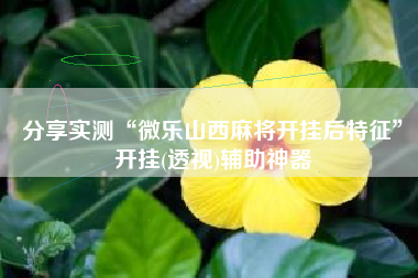 分享实测“微乐山西麻将开挂后特征	”开挂(透视)辅助神器