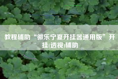 教程辅助“微乐宁夏开挂器通用版	”开挂(透视)辅助