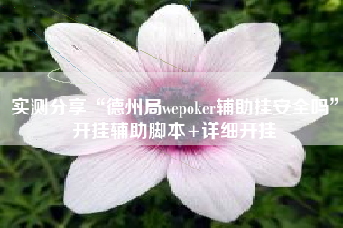 实测分享“德州局wepoker辅助挂安全吗”开挂辅助脚本+详细开挂