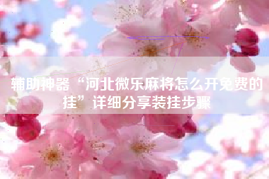 辅助神器“河北微乐麻将怎么开免费的挂	”详细分享装挂步骤