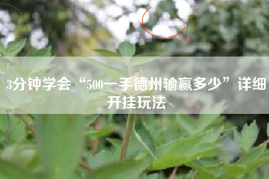 3分钟学会“500一手德州输赢多少	”详细开挂玩法
